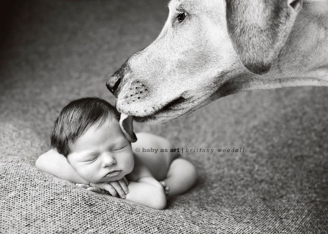 Baby as Art - Newborn Kids Photography