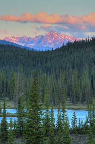 pink blue sunset mountain canada pine river jasper ab alberta hdr jaspernationalpark athabasca miette canon7d