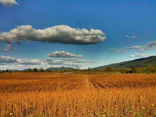 autumn fall clouds soybeans iphone prohdr