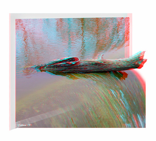 lake nature water photoshop outside outdoors effects stereoscopic 3d log md brian maryland manipulation anaglyph ps falls stereo wallace spill fx sfx outofbounds stereoscopy oof oob stereographic debri outofframe wyemills brianwallace stereoimage outofborder stereopicture