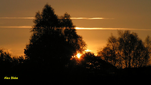 tree silhouette sunrise lowerlliwreservoir