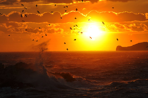 sunset sea mer storm france birds vent marseille wind wave provence vague oiseaux mistral coucherdusoleil endoume malmousque