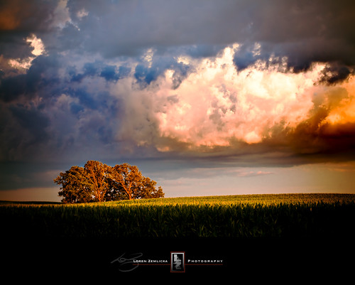 light sunset summer sky tree nature field wisconsin clouds rural landscape photography evening photo cornfield image dusk farm country picture july land 2010 stoughton canoneos5d danecounty canonef100mmf28macrousm lorenzemlicka