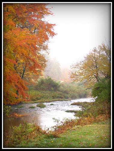 autumn mist newyork fall asp alleganystatepark redhouselake redhousebrook
