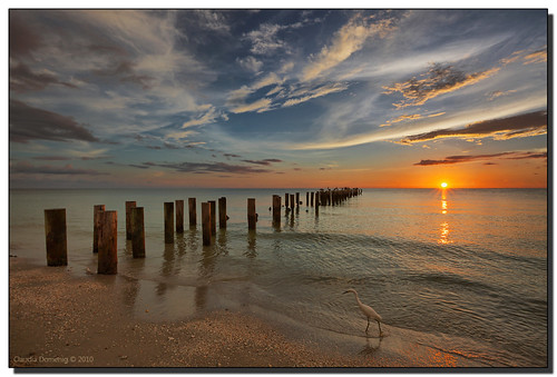 ocean wood sunset sun bird gulfofmexico clouds evening sand bravo florida naples poles pilings egret canonef1740mmf4lusm hdr snowyegret egrettathula oldpier 3exp collierco dphdr