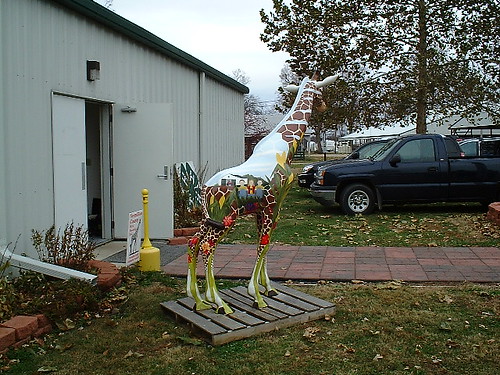 county community indiana giraffe vermillion cayugaauction