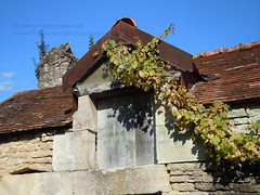 House in Saint Marc sur Seine - Photo of Aisey-sur-Seine