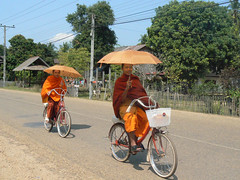 Monks cycling in Luang Prabang