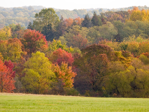 autumn fall delaware newarkdelaware whiteclaycreek newcastlecounty whiteclaycreekstatepark