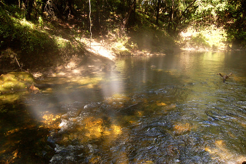 park water spring springs freshwater falmouthspring
