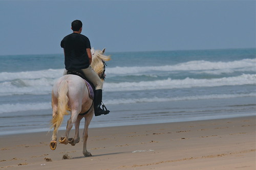 horse man beach sand nikon surf westafrica togo rider gallop d90 saidthelorax joeronzio lomé
