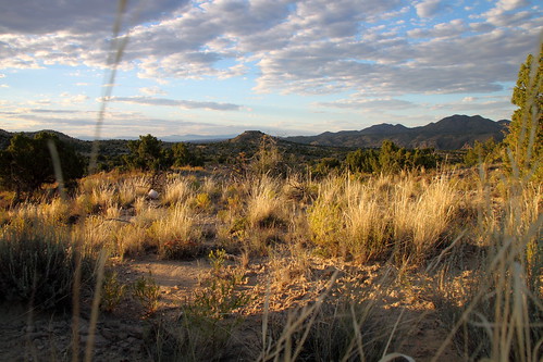 light mountains newmexico landscape evening landscapes desert scenic hills highdesert vegetation nm arid eveninglight highway14 turquoisetrail