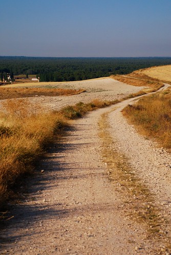countryside camino path campo