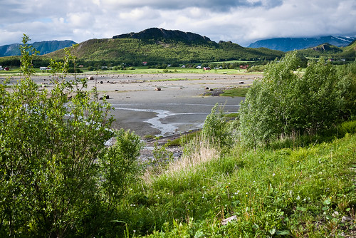 norway view shoreline lowtide nordland