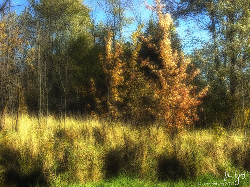 landscape hdr 3xp napanee cans2s xdop