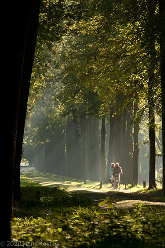 netherlands cycling earlymorning nederland fietsen sunbeams natuurmonumenten gelderland putten zonnestralen oldenaller sochtends theunforgettablepictures hknatuurfotografienl hanskoster