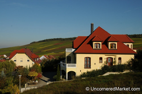 autumn germany bavaria vineyard franconia wineries aes wineharvest eibelstadt germanwines thüngersheimthüngersheim