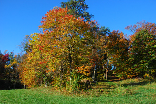 autumn fall landscape oct westvirginia waverly 2020