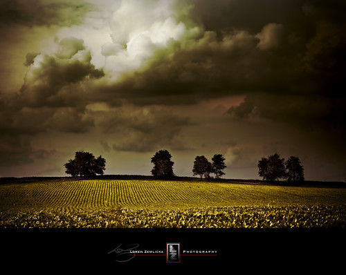 light shadow summer sky usa tree field lines wisconsin clouds rural dark landscape photography countryside photo midwest scenery image horizon country picture july atmosphere crop northamerica stoughton canoneos5d canonef100mmf28macrousm rockcounty lorenzemlicka landnature