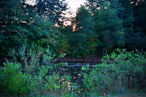 sunset pond 365 w3inc day999 365the2010edition 9252010