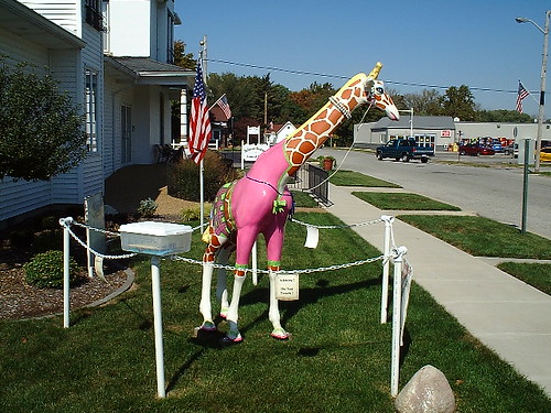 county community indiana giraffe cayuga vermillion