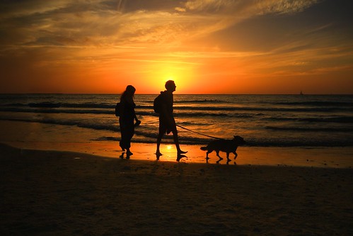 walkingonthebeachatsunsettelaviv walking beach sunset telaviv silhouettes backlight dog people travel travelinisrael shadows sky telavivbeach