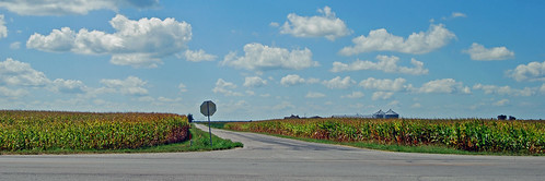 landscape corn route66 midwest farm iowa fields cornfields crossroad