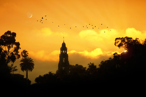 california trees sunset sky orange moon birds silhouette clouds nikon view sandiego prado soe balboapark ccl naturesfinest californiatower floridacanyon