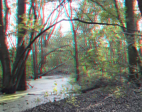 trees sunlight stereoscopic stereophoto scenic anaglyph iowa anaglyphs redcyan 3dimages 3dphoto 3dphotos 3dpictures stereopicture fujiw3 littlesiouxpark