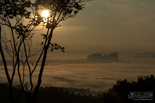 mist tree fog sunrise foliage sungailembing bukitpanorama ☆thepowerofnow☆ charashill