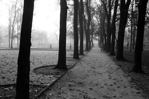 park autumn trees bw fall canon macedonia citypark skopje gradskipark gradski cuckove