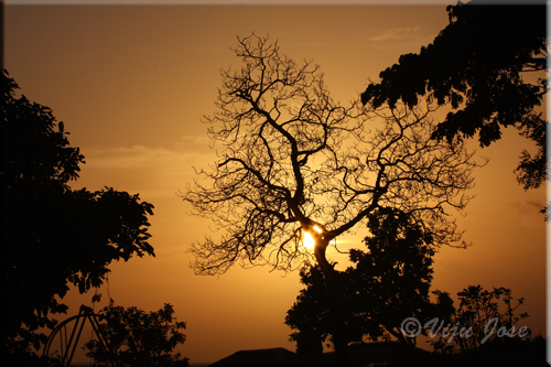sunset india silhouette canon eos kerala thrissur 450d