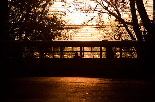street morning bus sol paraná brasil backlight sunrise contraluz rua amanhecer onibus manhã fozdoiguaçu