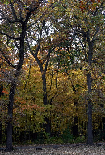 autumn fall wisconsin beloit bighill bighillpark