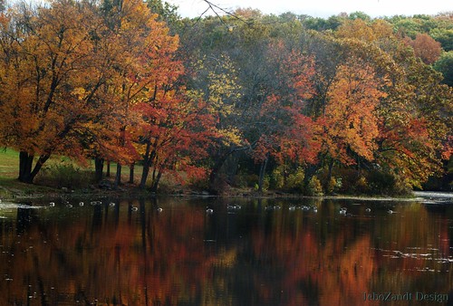 autumn trees reflection fall water geese pentax connecticut ct southfordfalls k200d justpentax