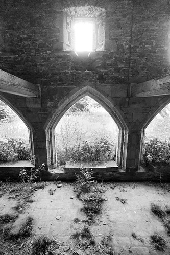 bw france overgrown abbey blackwhite ruin july normandy 2010 monestry canonefs1022mmf3545usm canoneos400d cerisybelleetoile labbayedebelleetoile