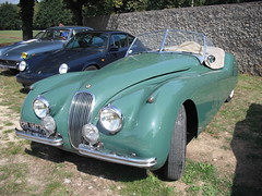 Jaguar - Photo of Garancières-en-Beauce
