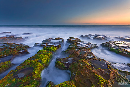 ocean sunset seaweed canon rocks australia adelaide southaustralia canon5dmkii