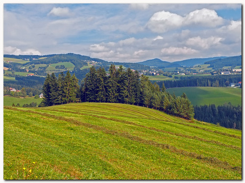 autumn trees sky cloud green landscape geotagged austria scenery europe hay grassland styria sommersgut