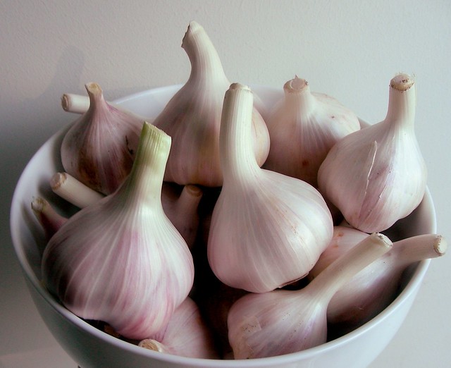 garlic-bowl
