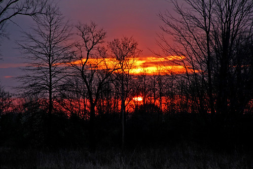 sunrise sunrisephotography sunandclouds sun cloudsandsky clouds ohio trees purple red gold