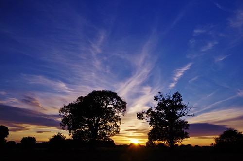 shropshire sunset fields countryside colour trees silhouette sky light