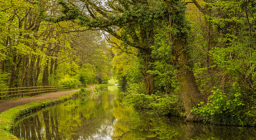 fence stourbridgebirminghamcanal canal waterways uk england worcestershire spring 2017 water reflections towpath bend trees woods woodlands green peaceful serene beauty tranquil path nikon d7100 tamron2470f28vc landscape outdoor