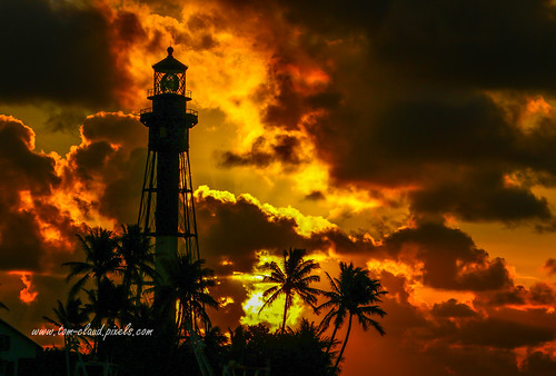 lighthouse palmtrees palms trees silhouetted silhouetee sky clouds cloudy morning morningsky dawn sunrise hillsborinlet hillsborobeach florida usa nature outdoors