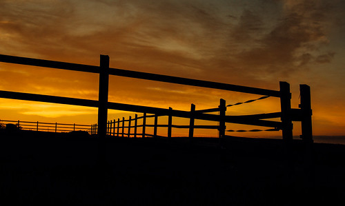 farm equestrian horse silhouette sky sunset lines canon