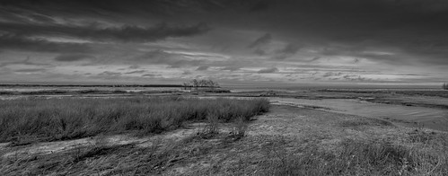 06516 beach connecticut longislandsound marsh sonyrx100m5 spring usa westhaven johnjmurphyiii