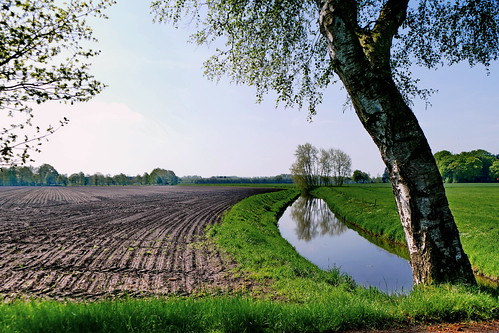 landschaft landscape norddeutschland graben ditch bäume trees acker field parallen parallels landwirtschaft felder