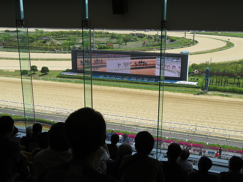 釜山慶南競馬場の３階でのレース観戦の様子