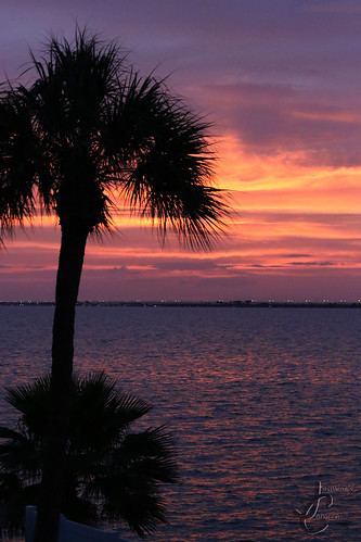 sunset sun set nature sea ocean water tree palm plant flora orange purple blue red reflection reflect relax moon dusk