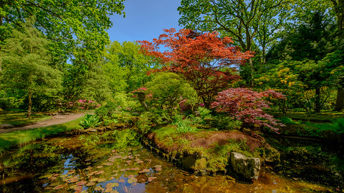 clingendael denhaag japanesegarden garden green colours nature japansetuin tuin